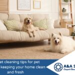 A Golden Retriever and a fluffy white Samoyed dog rest comfortably in a bright, modern living room on a beige rug and sofa.