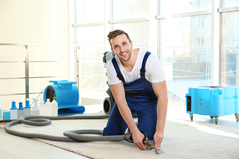 Carpet Cleaning Services Brisbane Carpet Cleaning Services Brisbane