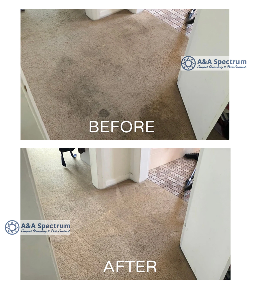 #CarpetCleaningTips
#CarpetCleaning
#SteamCleaning
#DeepCleaning
#HomeCleaning
#CleaningTips
#StainRemoval
#OdourRemoval
#UpholsteryCleaning
#ProfessionalCleaning
#PestControl
#PestFreeHome
#HealthyHome
#AllergyFreeHome
#DustRemoval
#CleaningExperts
#LocalCleaningServices
#CarpetCare
#HomeMaintenance
#AandASpectrum